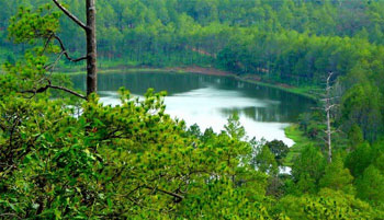 Kirirom National Resort