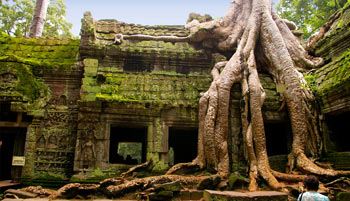 Ta Prohm Temple
