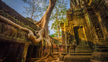 Tomb Raider Exploration