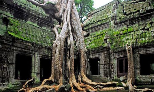 Grand Circuit - Complex Temples